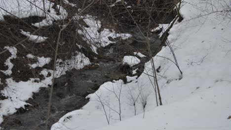 A-winter-brook-slowly-flowing-among-the-snow