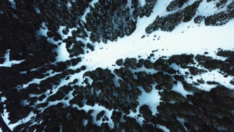 Aerial,-beautiful-top-shot-of-woods-and-a-valley-under-the-snow-in-mountains,-Austria,-Tirol