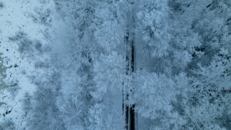 Isolated-Asphalt-Road-In-The-Middle-Of-Snowy-Coniferous-Forest-Near-Pieszkowo-Village-In-Poland