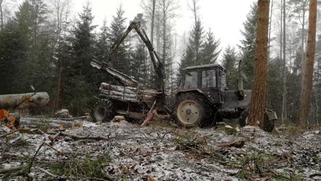 Forestry-tractor-with-grab-arm-picking-tree-trunks-in-forest-on-light-snow-day
