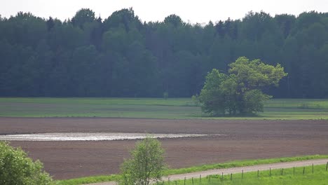 Country-side-panoramic-landscape-in-summer-time-from-above-and-ground-with-hay-rolls-and-roads
