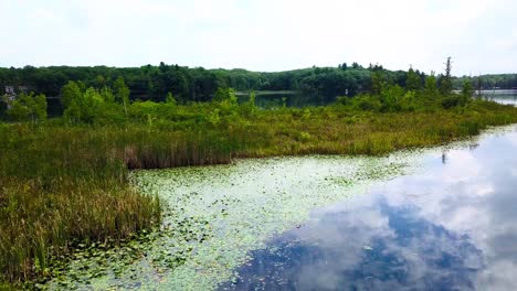 4k-drone-video-of-a-small-town-lake,-rising-up-from-a-canal-over-lily-pads-and-algae-to-display-the-beautiful-lake-and-water-in-michigan,-usa