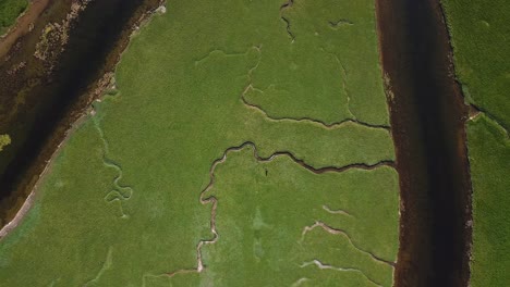Aerial:-river-estuary-delta,-tributary-pattern