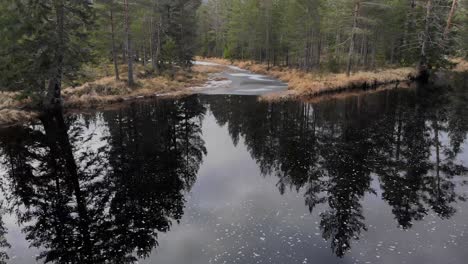 Ein-Ruhiger-Fluss-In-Der-Wildnis-Norwegens-Mit-Schaum-Und-Reflexion-Der-Bäume