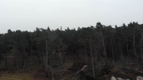 Aerial-shot-of-boreal-forest-in-Ustka-in-winter