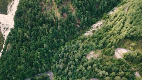 Bird's-eye-view-and-gradually-crane-up-movement-drone-shot-of-a-winding-road-inside-a-forest-and-cars-passing-by
