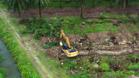 Aerial-view-capturing-a-digger-excavator-removing-the-palm-trees-with-birds-foraging-on-the-side,-deforestation-for-palm-oil,-environmental-concerns-and-habitat-loss
