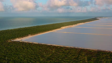 golden-hour-sunlight-reflecting-off-pink-lakes-at-Las-Coloradas-with-lush-green-forest-and-ocean-coastline,-aerial