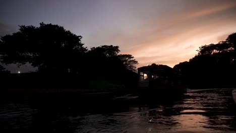 Wildtiere-Auf-Dem-Fluss-Und-Alligator-Tourboot-Voller-Besucher-Mit-Dunklem-Sonnenuntergang,-Nahaufnahme