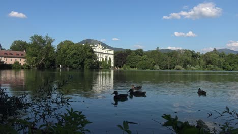 Calm-lake-shortly-before-sunset,-with-several-ducks-slowly-swimming-around,-and-an-ancient-building-in-the-background