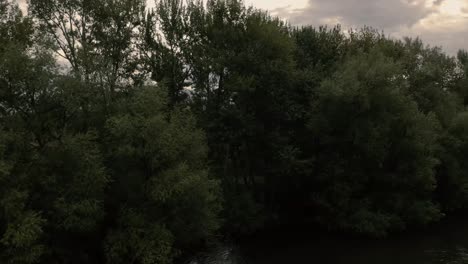 Aerial-drone-shot-flying-up-over-trees-on-Boise-River-to-reveal-downtown-Boise