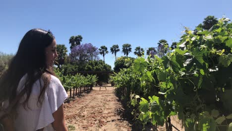 Slow-Motion-Clip-of-a-brunette-mexican-latin-girl-walking-through-a-vineyard-during-daylight-with-green-plants