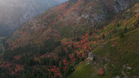 Schöne-Herbstliche-Waldfarben-Am-Berghang,-Luftaufnahme