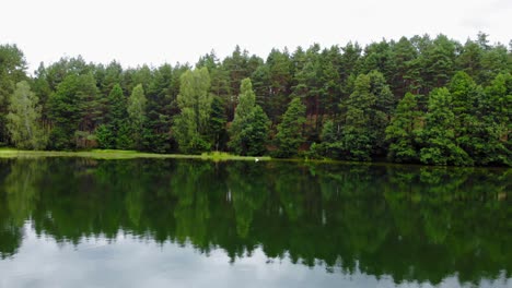 Beautiful-Reflections-Of-Coniferous-Trees-On-The-Calm-Lake-In-Pradzonka,-Gmina-Studzienice,-Poland