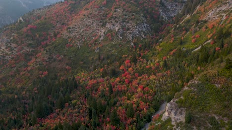 Erstaunliche-Farben-Der-Natur-Im-Herbst-In-Den-Bergen-Von-Utah---Antenne