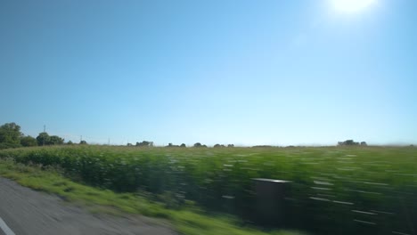 Car-driving-on-the-side-of-the-road-at-the-edge-of-sunny-fields