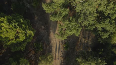 Aerial-view-of-two-people-walking-on-the-forest-path