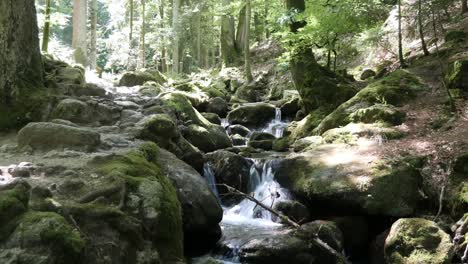 Adventurous-Hiking-Trail-along-a-Beautiful-Stream-at-the-Gertelbach-Waterfalls,-Black-Forest-Germany