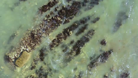 Static-top-down-aerial-view-of-the-tide-rolling-in-over-rocks-at-Brighton-Beach,-UK