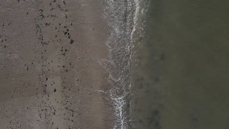 Ruhige-Wellen,-Die-Von-Oben-An-Einem-Sandstrand-Brechen