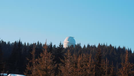 Observatory-overlooking-a-pine-forest,-against-a-blue-sky