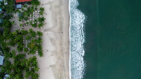 Vertical-drone-shot-of-a-beach-with-palm-trees