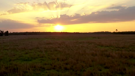 Niedrige-Luftaufnahme-Eines-Großen-Orangefarbenen-Sonnenuntergangs-In-Der-Landschaft-Von-Land-O&#39;-Lakes-In-Florida