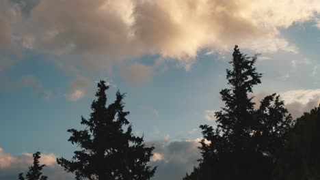 Clouds-rolling-over-green-trees-at-sunset---time-lapse