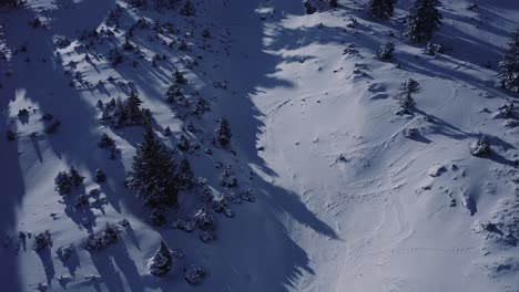 Drone-Volando-Sobre-Un-Paisaje-Montañoso-Con-Pinos-Cubiertos-De-Nieve-En-Kalavryta-Grecia-En-Un-Soleado-Día-De-Invierno,-Antena
