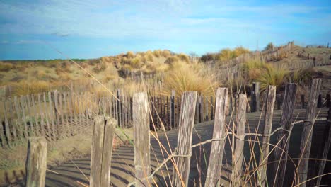 Beautiful-dunes-at-the-beach-in-South-of-France,-wooden-fence-and-yellow-tall-grass,-holidays-destination-on-a-sunny-day