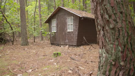 Closer-view-of-an-old,-wooden-outbuilding-in-a-forest