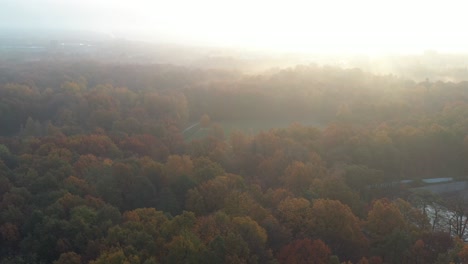 Drone-aerial-view-of-park-in-early-autumn-morning