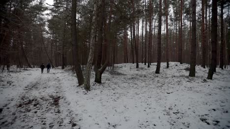 people-walking-in-snowed-forest-with-tall-trees,-panning-moody-shot