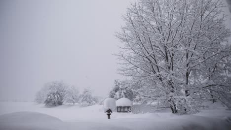 Wide-shot-of-thick-snow-on-trees-and-birdhouse