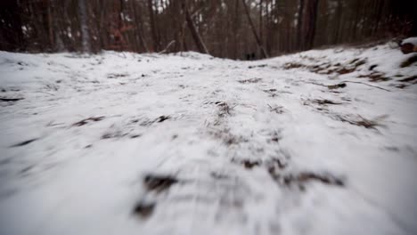 Kamera-Bewegt-Sich-Schnell-In-Der-Nähe-Von-Verschneitem-Boden-In-Einem-Wald-Im-Winter,-Winteraktivitätslebensstil