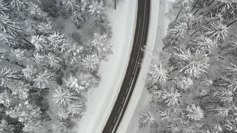 Un-Dron-Suave-Disparó-Sobre-Una-Carretera-Con-Un-Bosque-De-Pinos-Cubierto-De-Nieve-Alrededor-De-La-Carretera