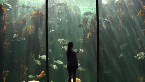 Wide-shot-of-a-women-touching-a-huge-fish-tank's-glass-as-fish-swim-past-her-and-sun-rays-shine-through-the-water