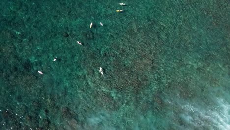 Drone-shot-flying-over-surfers-in-crystal-clear-water-with-reef-underneath-them