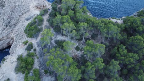 Drone-flight-over-hidden-coast-in-Mallorca-with-camera-down-ending-over-the-ocean-with-seagulls-in-summer