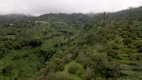Wide-drone-shot-of-green-Bali-landscape