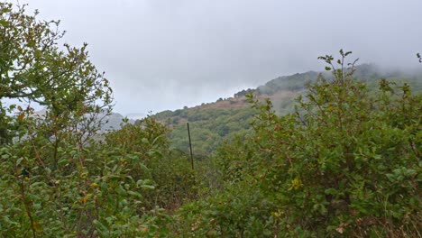 Schöne-Neblige-Bergkette-Am-Horizont-Mit-Lebendiger-Grüner-Umgebung,-Statischer-Blick
