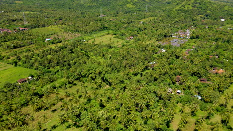 Panoramic-View-Of-A-Rural-Landscape-With-Thicket-Palm-Trees-And-Fields-In-West-Bali,-Indonesia