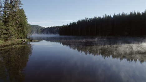 A-fabulous-misty-lake-with-calm-reflective-water,-surrounded-by-a-pine-forest