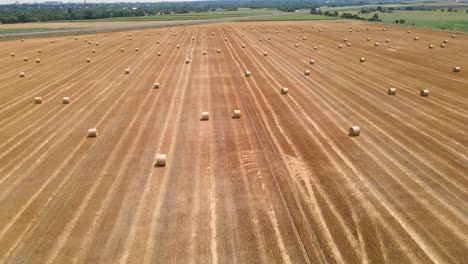 Round-straw-bales-on-a-harvested-hayfield