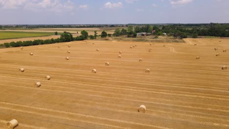 Agricultural-landscape-with-round-straw-bales-on-harvested-hay-field