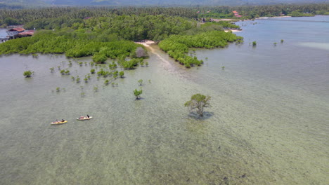 Scenery-Of-Kayaking-Activity-And-The-Mangrove-Forest-In-West-Bali-National-Park-In-Indonesia