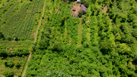 Cabaña-En-Medio-De-Una-Exuberante-Vegetación-Y-Una-Plantación-Rural-En-El-Oeste-De-Bali,-Indonesia-Durante-El-Verano