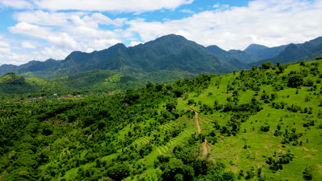 Belleza-De-La-Naturaleza-Con-Paisajes-De-Valles-Verdes-En-El-Parque-Nacional-Cerca-Del-Pueblo-En-El-Oeste-De-Bali,-Indonesia