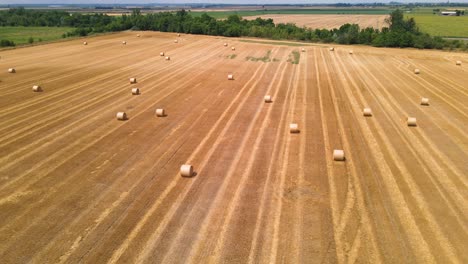 Wide-open-hayfield-after-harvest-with-round-straw-bales