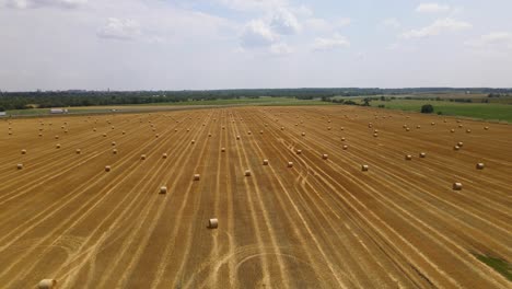 Harvested-hayfield-with-round-straw-bales